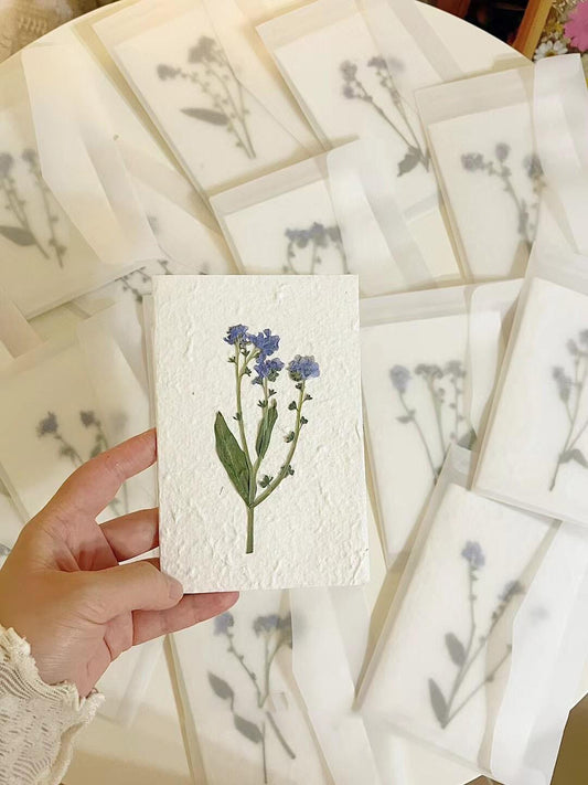 Forget-me-not Bloom Card 3-pack