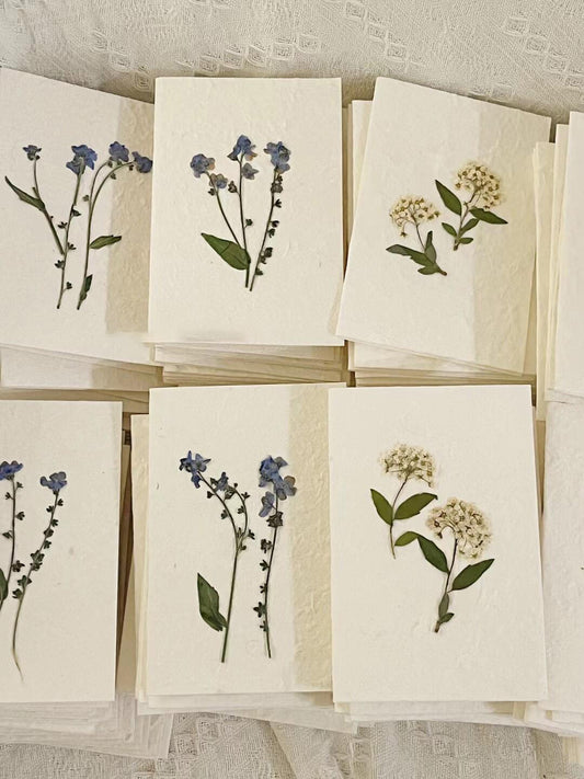 Forget-me-not Bloom Card 3-pack