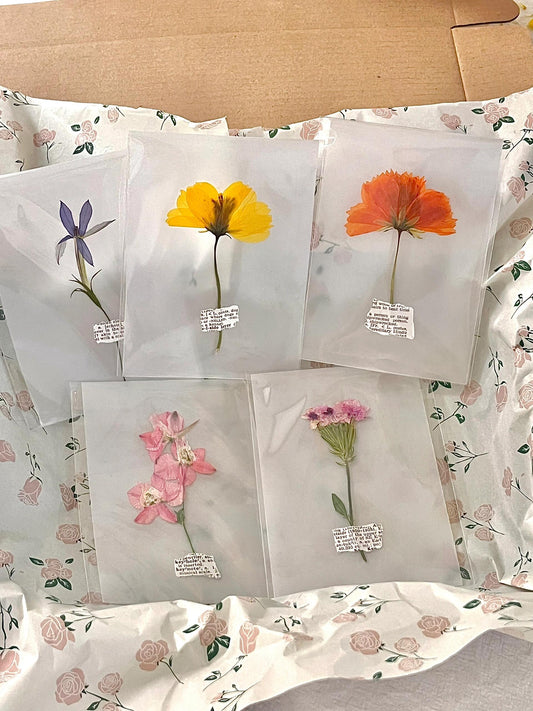 Transparent Floral Cards 5-Pack